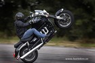 Avatar du membre