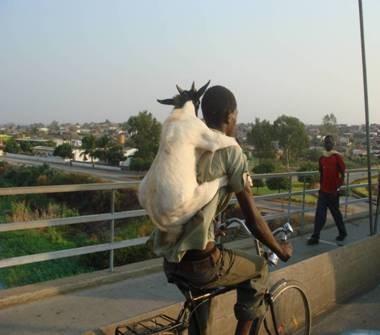 298031moyen_transport_insolite_L_1.jpg