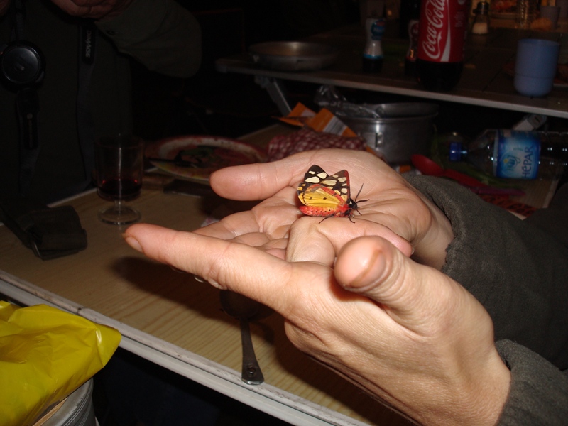 DSC09145 - Copie.JPG