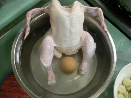 l oeuf ou la poule.jpg