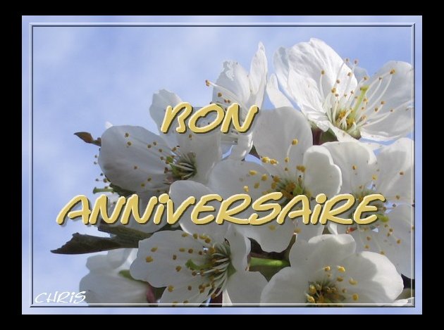 Carte-anniversaire-fleur-de-cerisier[2].jpg