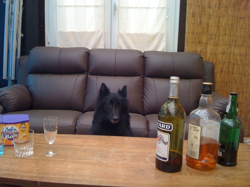 IMG_0882.JPG