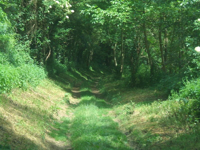 DSCF1202.JPG