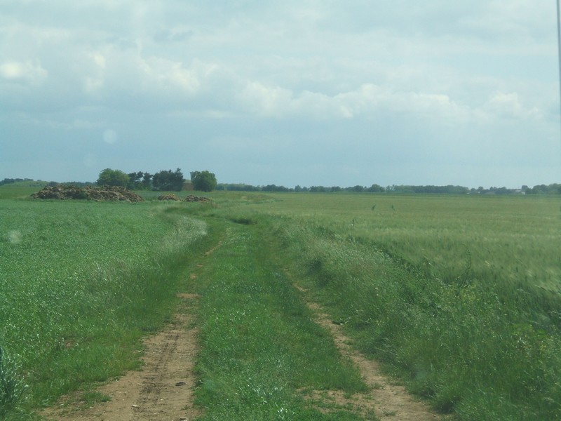 DSCF1203.JPG