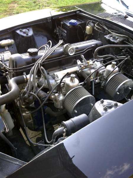IMG-20110712-00150-600.jpg