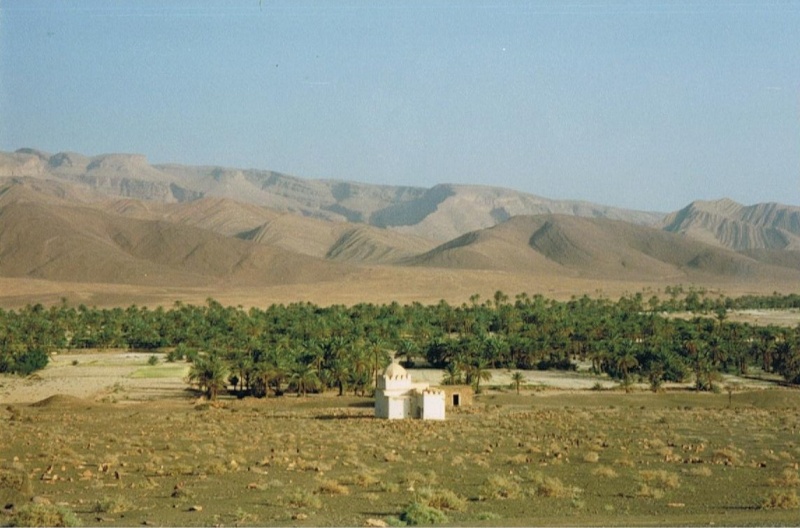 02510.jpg