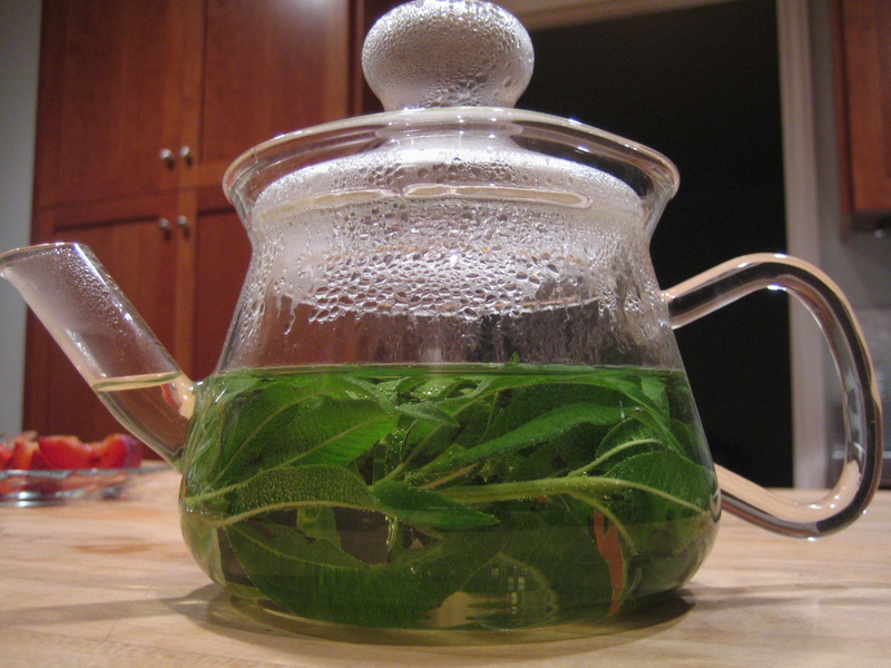 tisane%203.jpg
