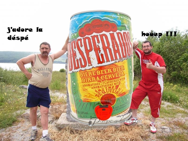 despé 3.jpg