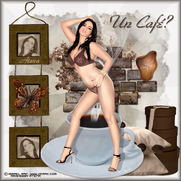 cafa_s11.jpg