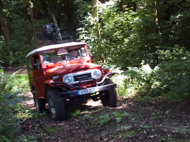 SD533289.JPG