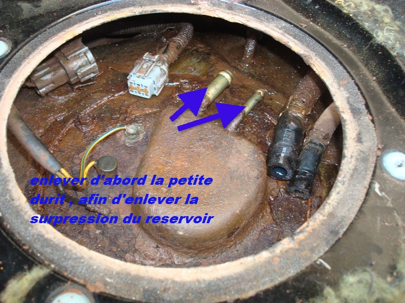 DSC01795 - Copie.JPG