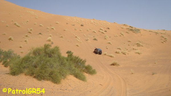 Dsc06673.jpg