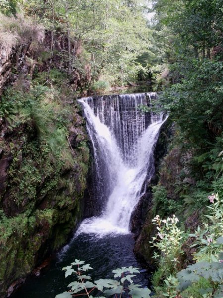 Imag0006.jpg