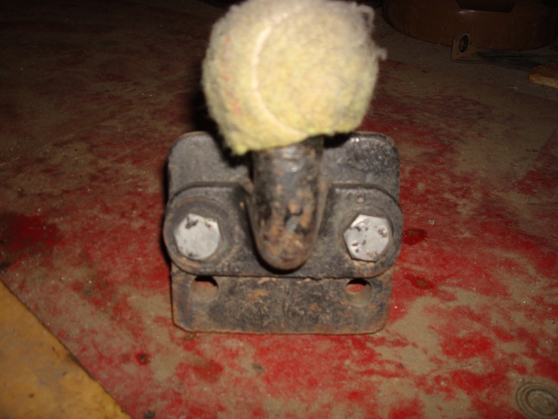 DSC02224.JPG