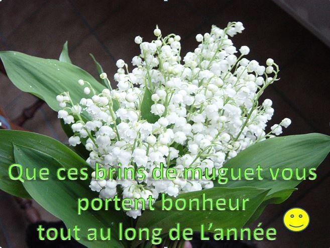 muguet.jpg