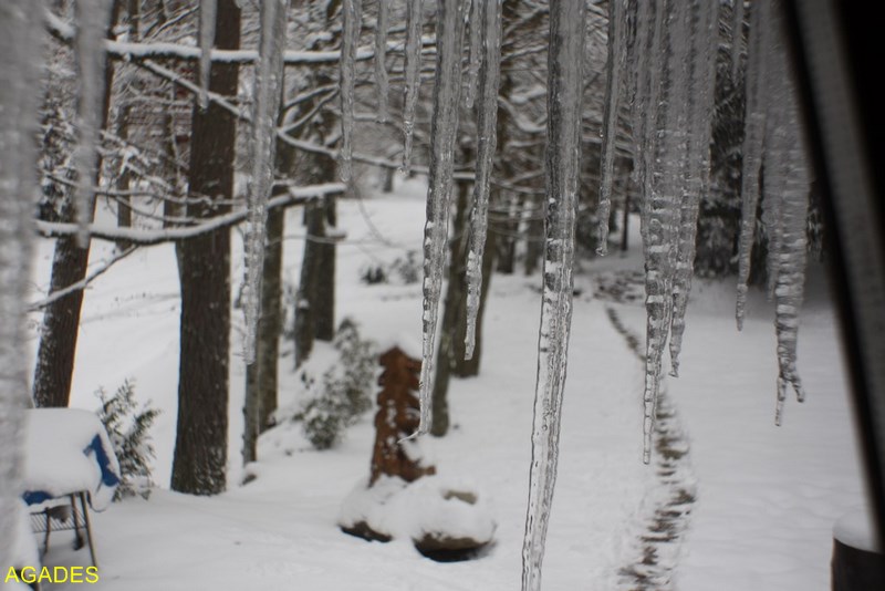 IMG_7092 (Copier) (Copier).JPG