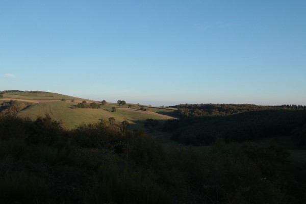 IMGL0530.JPG