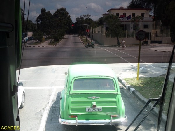 SAM_1719 (Copier).JPG