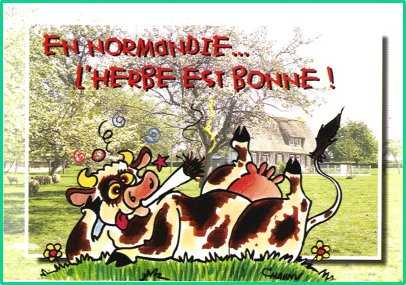 vache%20normande.jpg