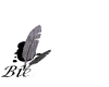 bienvenue-08.gif