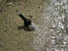 bouteille vin.jpeg