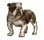 chien_450.gif