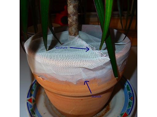 pot-de-fleur-moucheron-couture.jpg