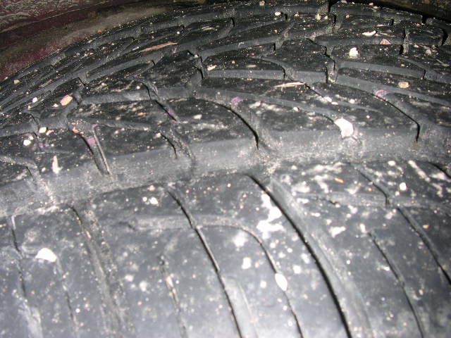 DSCN8448.JPG