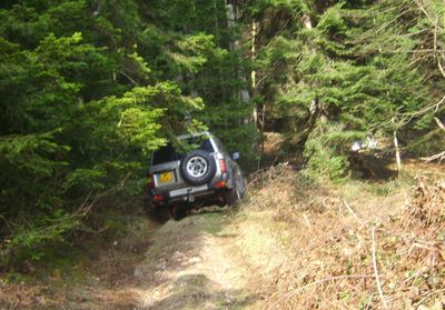 GR Chemin Foret.jpg