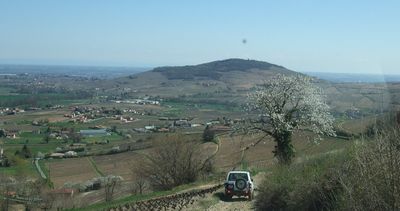Arrivée dans les vignes.jpg