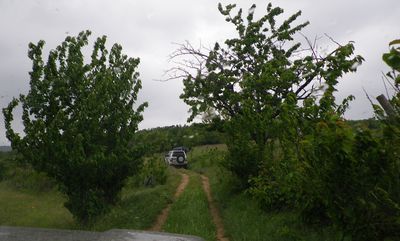 Beau chemin.jpg