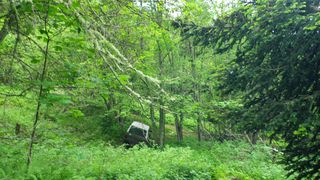 Baroud faufile bois.jpg