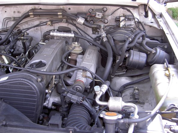 PICT0007.JPG