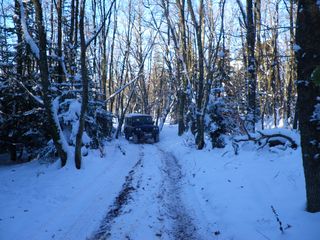 Chemin Bois JJ.jpg
